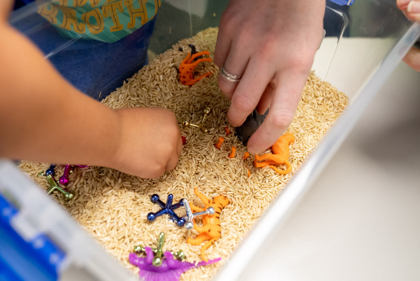 Hands searching for toy figures in a rice sensory bin