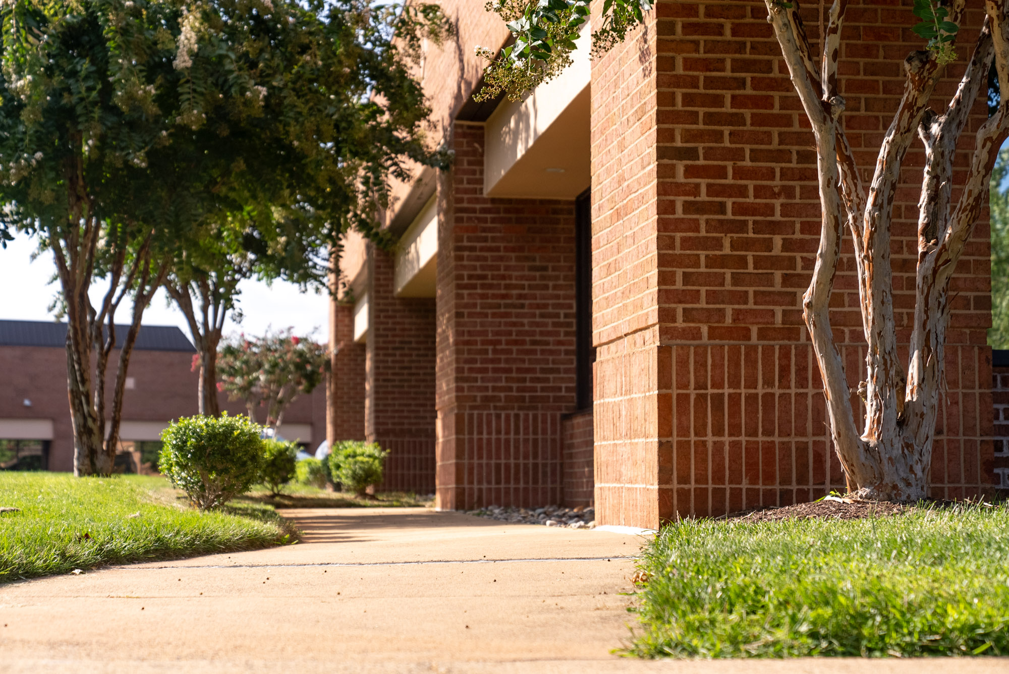 Brick office building entrance with a landscaped walkway