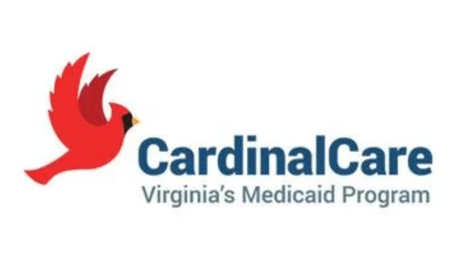 Virginia Medicaid